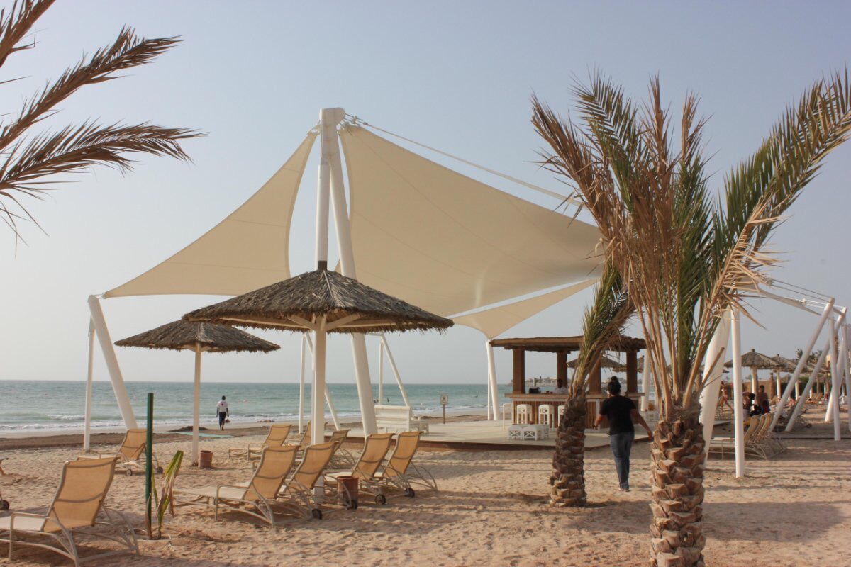 Asma Germe sistemler